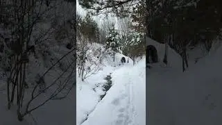 A Quiet Walk Through Winter | Ukrainian Village Path