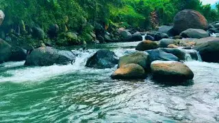 Nature&rsquo;s Lullaby | Sleep &bull; Relax &bull; Enjoy Life with Gentle Nature Sounds & ASMR Escape