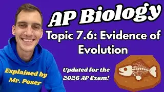 7.6 Доказательства эволюции - AP Biology (обновлено в 2025-2026 гг.)