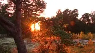 Karhuseutu TV toukokuussa 2009
