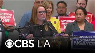 LA County Board of Supervisors declare local emergency over immigration raids