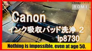 Canonのプリンターのインク吸収体を自分で洗うCanon PIXUS iP8730 ip6830も同様に可能です
