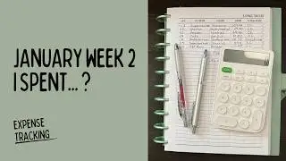 How I spent $367.20 | January Week 2