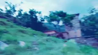 torgr zngia