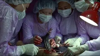 What Happens When Doctors Stop Being Human | Thriller Explained.