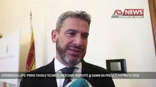 EMERGENZA LUPO, PRIMO TAVOLO TECNICO: &laquo;PER DARE RISPOSTE AI DANNI DA PREDAZIONE&raquo; | 11/11/2025