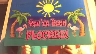 Active2030 GreaterSacramento_FlamingoFlockingFundraiser