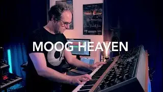 MOOG HEAVEN - Tim Sund plays the Moog Voyager + Moog One