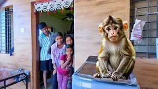 Washing Machine वर माकडाचं पिल्लू येऊन बसलं 🫣#भांडण 
