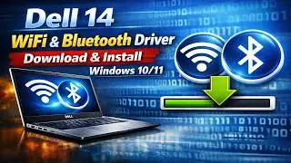 Загрузка и установка драйверов Wi-Fi и Bluetooth для Dell 14 | Windows 10/11