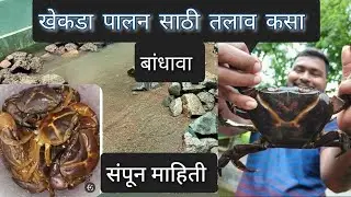 🦀🦀खेकडा पालन व्यवसाया साठी तलाव कस बांधायचं याची संपूर्ण माहिती/  crab farming information 🦀🦀
