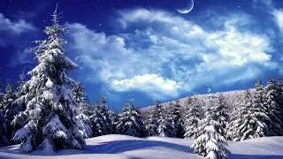 STEVE MILLER BAND * Winter Time   1977   HQ