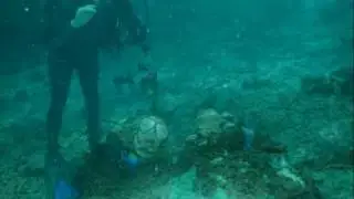 Diver Don Slingshot Fins