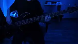 Deftones - My Own Summer (Shove It) | Bass Cover by morgul