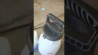 how to kill fleas instantly