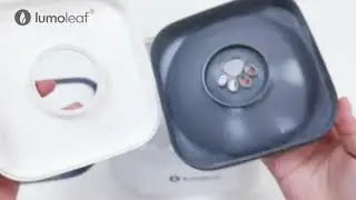 Instruction on how to open the floating disk of Lumoleaf Pet Water Bowl