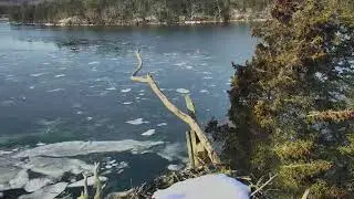 Audubon Osprey Nest Cam 01-03-2018 08:11:09 - 09:11:10