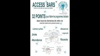 ACCESS BARS  par Philippe BEURDELEY الأكسس بارز