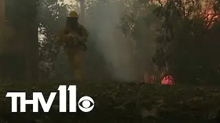 Here's how some pets were saved during the 2025 Eaton fire in California