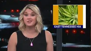 East Tennessee HIA 2020 ( Hemp Industries Association ) HIA Members Bringing Awareness!