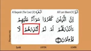Learn Quran in English translation word by word learning, Al Baqarah,  Cow,  002, Verse 6,