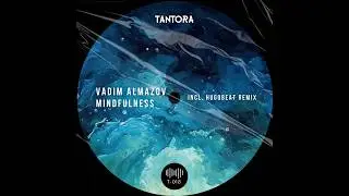 Vadim Almazov - Mindfulness (Original Mix)