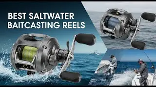 TOP 5 Best Saltwater Baitcasting Reels 2025 | Affordable Saltwater Baitcasting Reels Reviewed