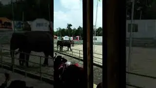PLG Way Kambas Lampung Timur
