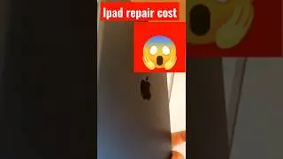 Apple ipad repair cost with and without apple care plus. gamming apple iphone Andriod repair cheap ?