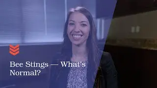 Bee Stings &mdash; What's Normal?