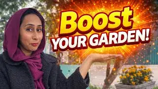 5 Tips and tricks That Will  Improve Your Kitchen Garden 🌱