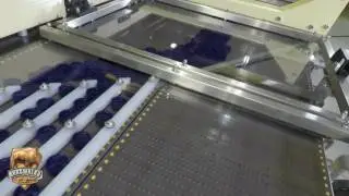 Arrowhead Conveyor Accumulation System