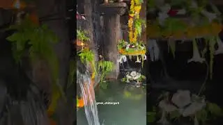 Gaumukh kund , chittorgarh fort grea_chittorgarh #great_chittorgarh #chittorgarhfort #gaumukh #shiv