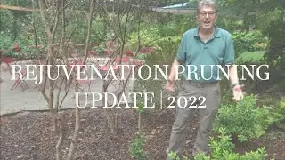 Rejuvenation Pruning Update | 2022