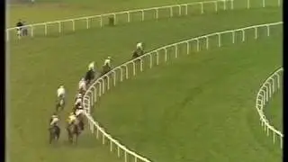 1987 Youngmans Long Walk Hurdle