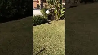 Townhouse Nagueles Pool-Garten