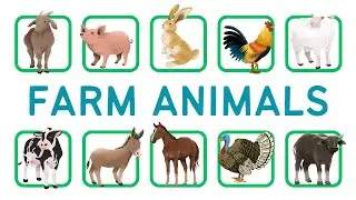 English Vocabulary about Farm Animals | English Vocabulary with Pictures
