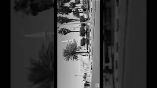 سليمان الأجنف الشراري إمام مسجد البلديه صلاة التراويح رمضان  ١٤٤٠ هـ ( جامع ابو بكر الصديق ) بطبرجل