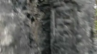 Lava tree mold