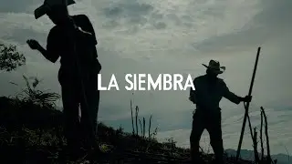 La Siembra - Planting Heirloom Corn in Coastal Oaxaca