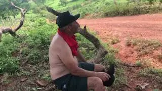 12 de janeiro de 2026