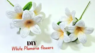 How to Make White Plumeria Blooms with Pipe Cleaners