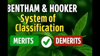 BENTHAM & HOOKER SYSTEM OF CLASSIFICATION.  NATURAL SYSTEM OF CLASSIFICATION. MWRITS AND DEMERITS.