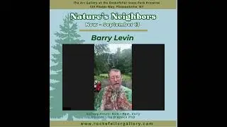 Barry Levin - Artist Interview