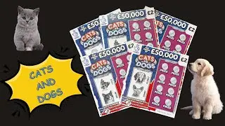 Five of UK National Lottery Cats and Dogs Scratch Cards.