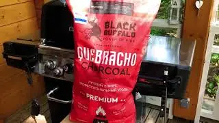 Black Buffalo main