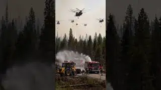 Massive Forest Fire Rescue | Helicopter Water Drop & Firefighters Battle Flames