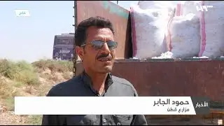 تحسن في إنتاج القطن في الرقة وآمال للمزارعين بمردود جيد في هذا الموسم