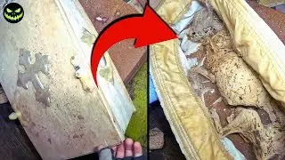 5 YouTubers que Sentiram o Verdadeiro Terror ao Explorar Locais Abandonados! Ep.10
