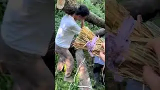 Heavy Log Carrying Technique on the Shoulder &ndash; Simple and Effective